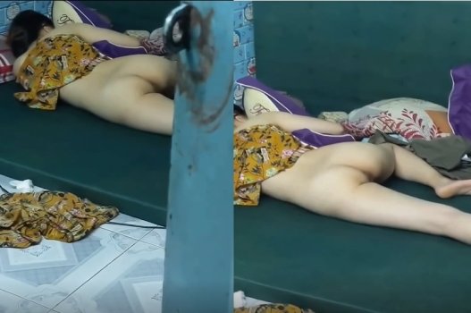Sapos no hotel para forjar conhecimento, para que a irmã mais nova do aluno tenha micção
